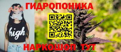 хмурый Абакан